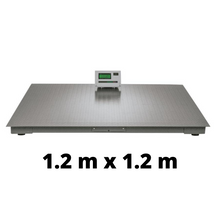 Cargar imagen en el visor de la galería, Báscula de plataforma industrial 2, 3, 5 Ton - PLA-TN - Mesumex